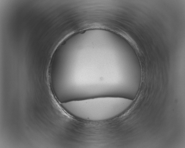 X0000074000806200608211106