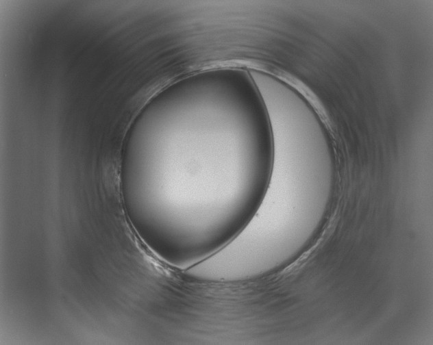 X0000074000809200608211106
