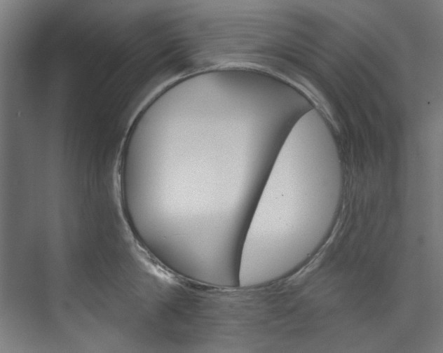 X0000074000814200608211106