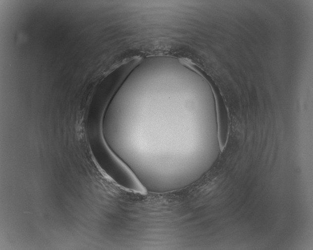 X0000074000818200608211105