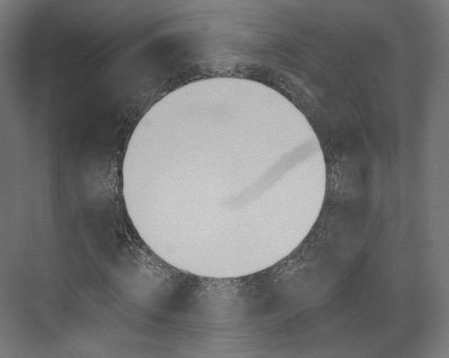 X0000074000820200608211105