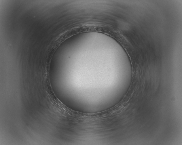 X0000074000821200608211105