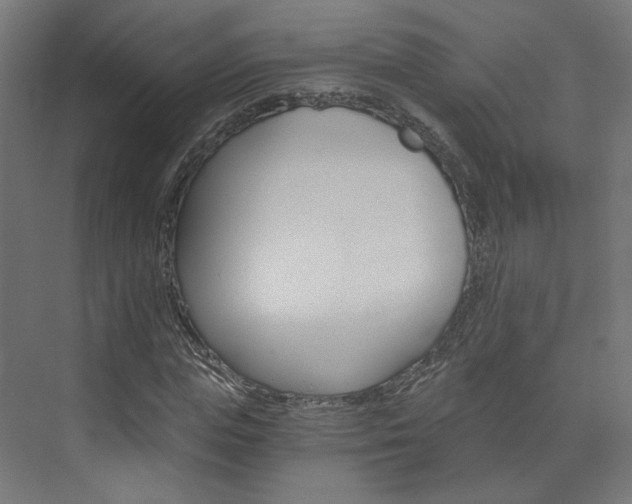 X0000074000823200608211105