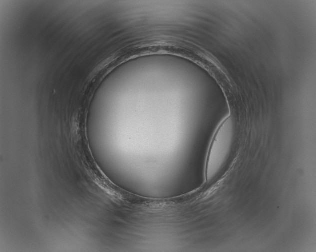 X0000074000826200608211105