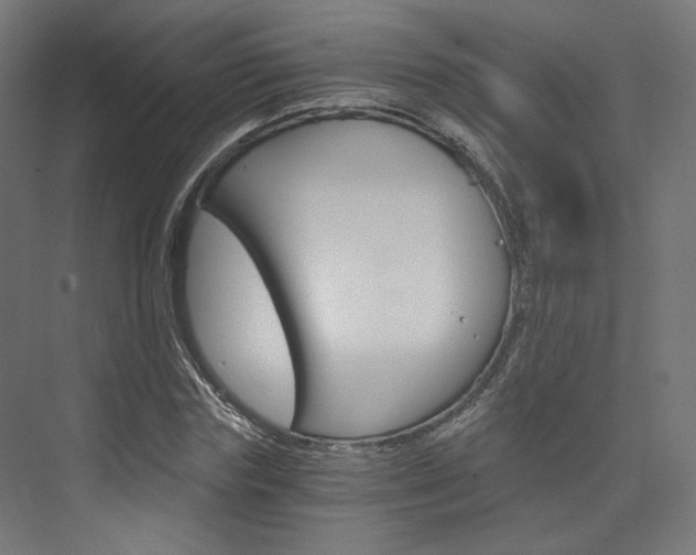 X0000074000827200608211105