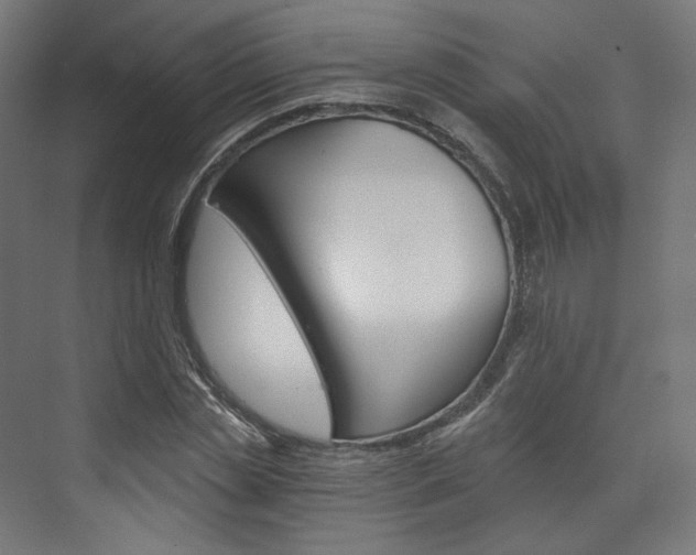 X0000074000829200608211105
