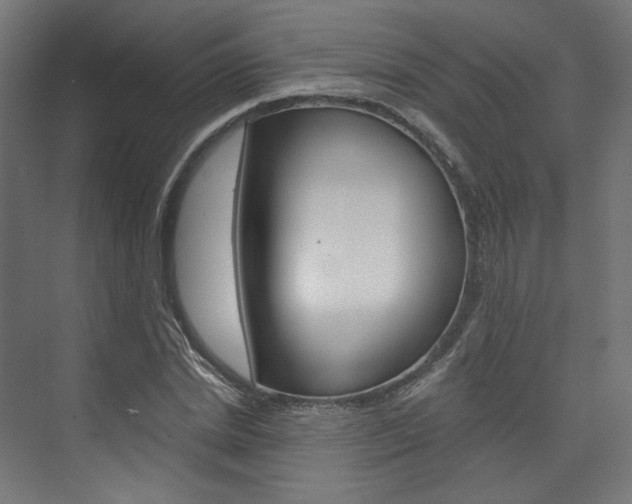 X0000074000830200608211105