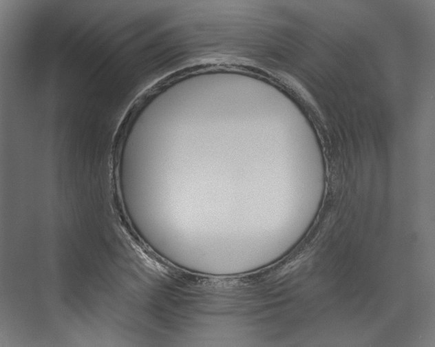 X0000074000831200608211105