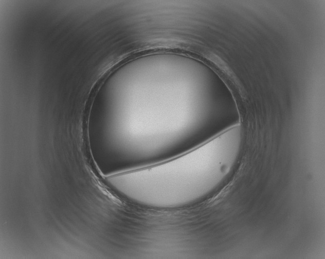 X0000074000834200608211105