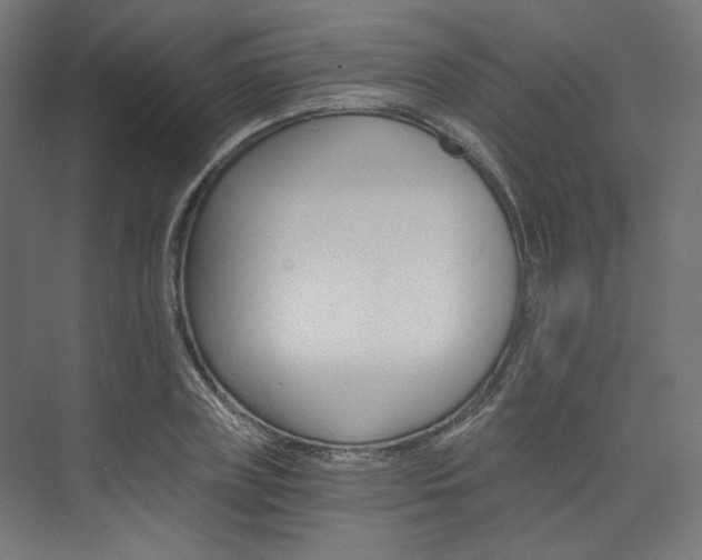 X0000074000835200608211105