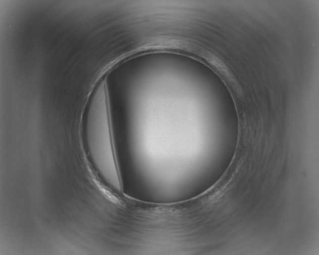 X0000074000842200608211106