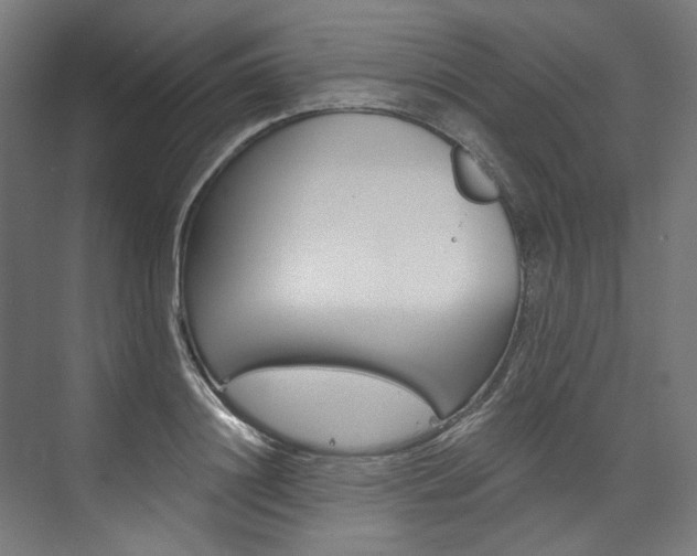 X0000074000844200608211106