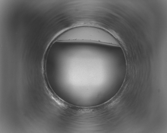 X0000074000846200608211106