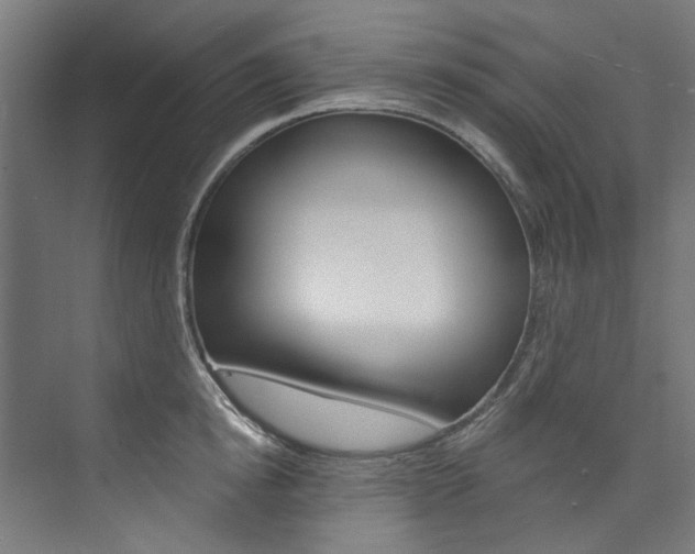 X0000074000854200608211106