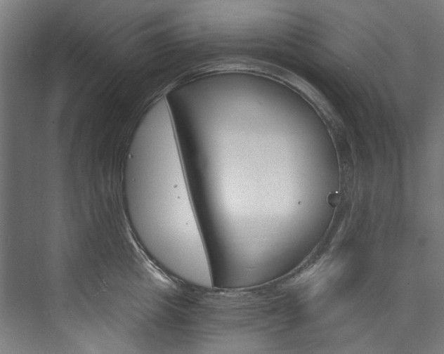 X0000074000857200608211106