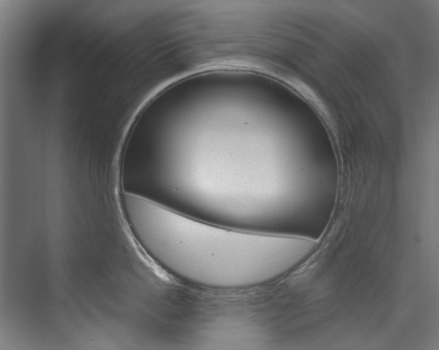 X0000074000862200608211106