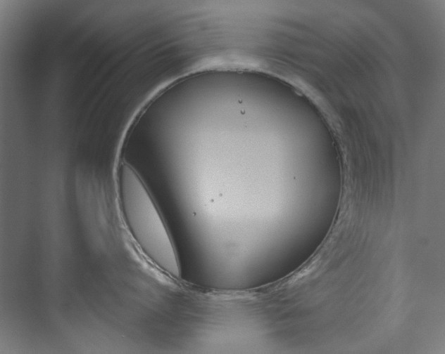X0000074000864200608211106