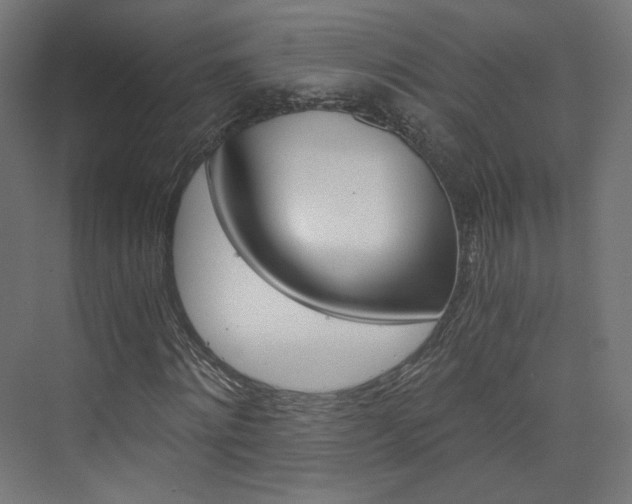 X0000074000868200608211105