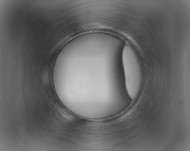 X0000074000873200608211105