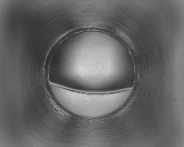 X0000074000876200608211105