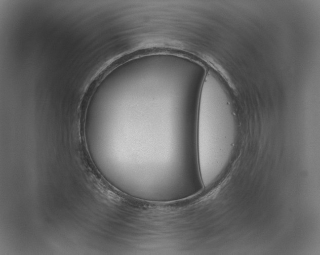X0000074000877200608211105