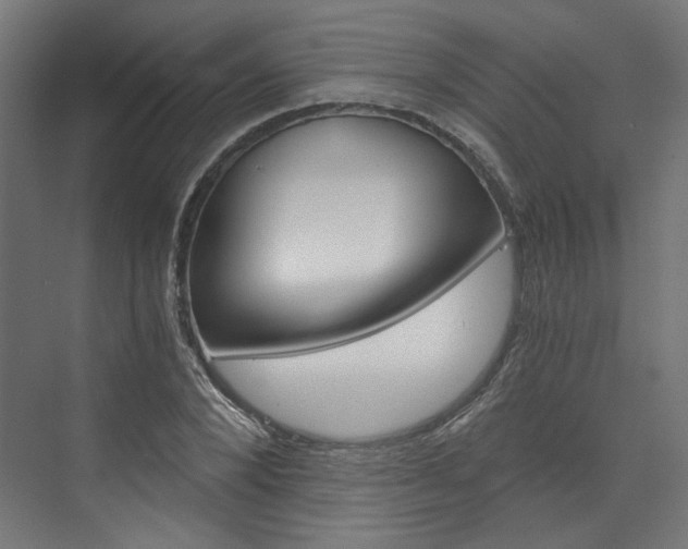 X0000074000880200608211105