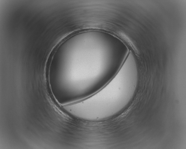 X0000074000884200608211105
