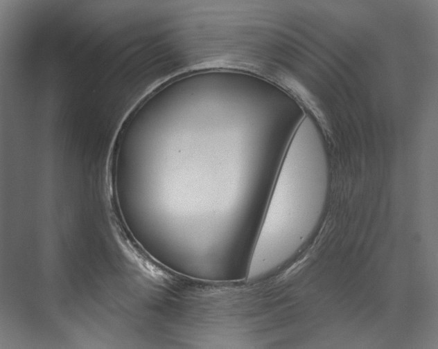X0000074000892200608211105