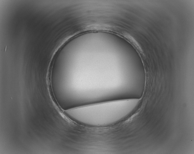 X0000074000893200608211105