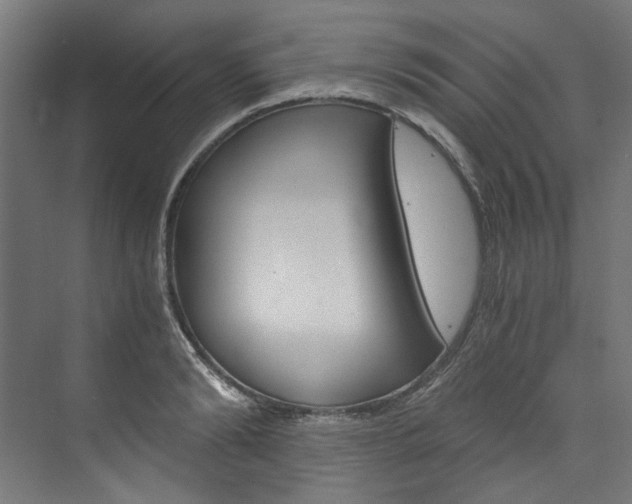 X0000074000894200608211105