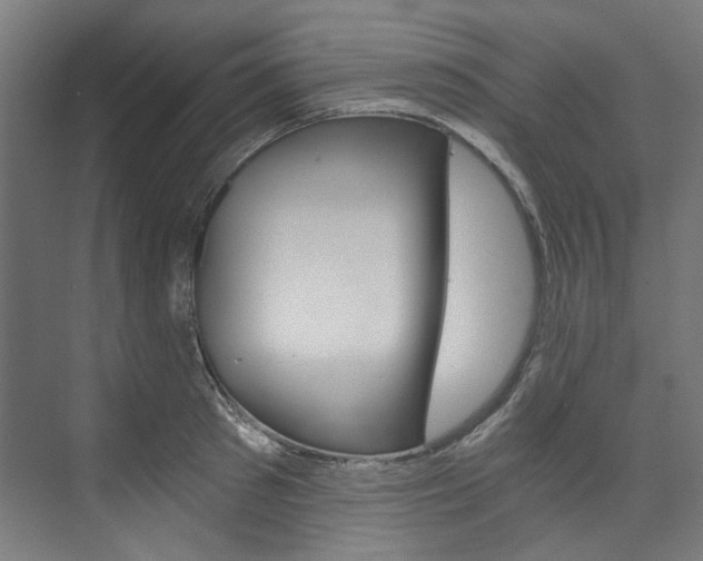 X0000074000897200608211105