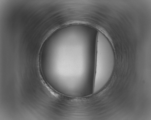 X0000074000898200608211105