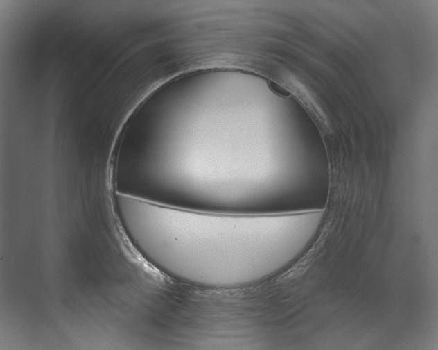 X0000074000900200608211105