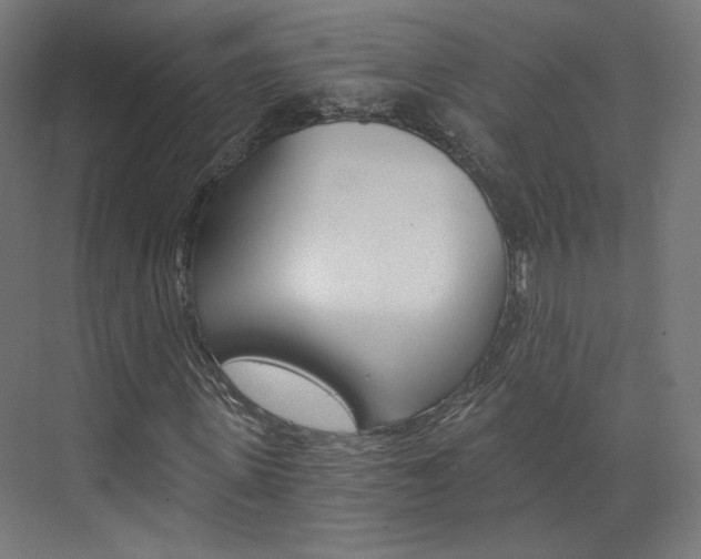 X0000074000915200608211104