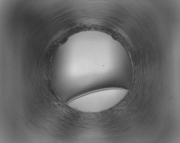 X0000074000919200608211104