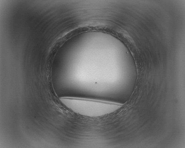 X0000074000920200608211104