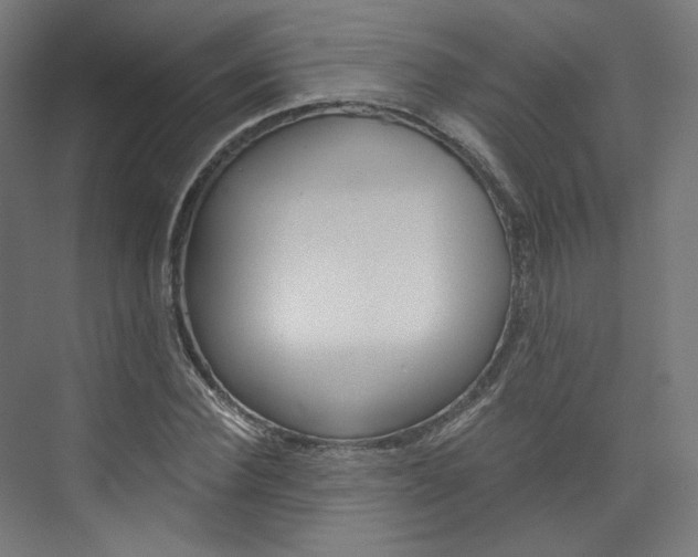 X0000074000924200608211104