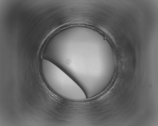X0000074000925200608211104