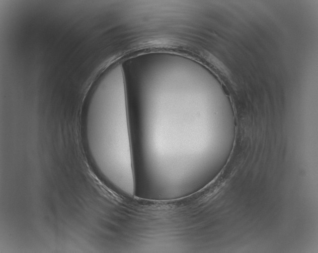 X0000074000930200608211104