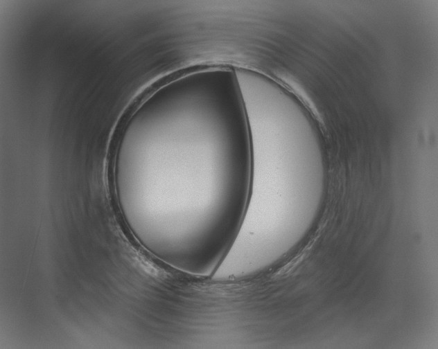 X0000074000932200608211104