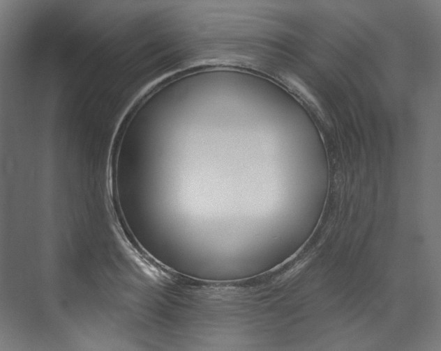 X0000074000940200608211104