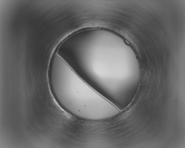 X0000074000943200608211104