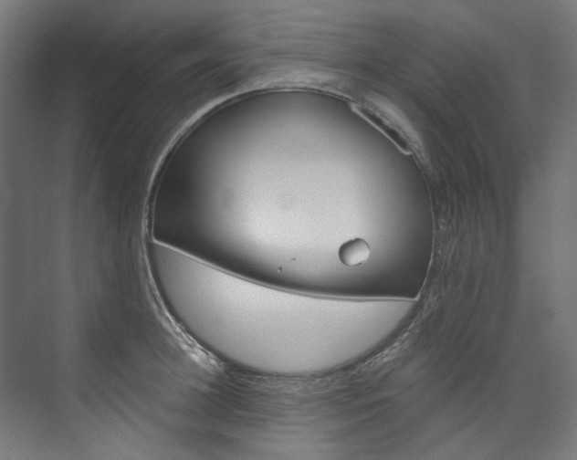 X0000074000948200608211104