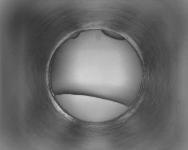 X0000074000957200608211104
