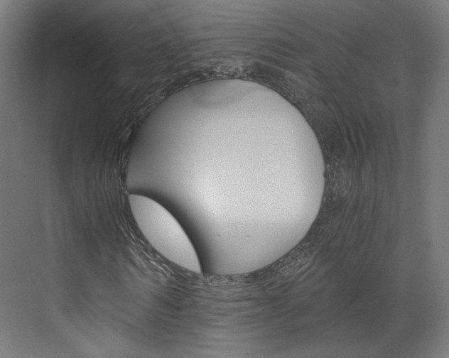 X0000074000962200608211103