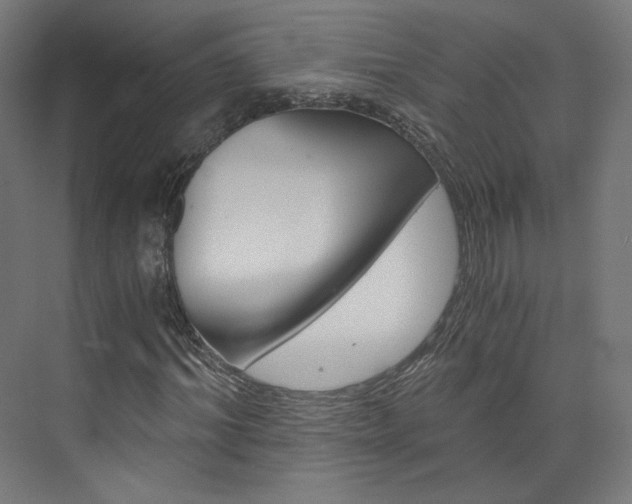 X0000074000964200608211103