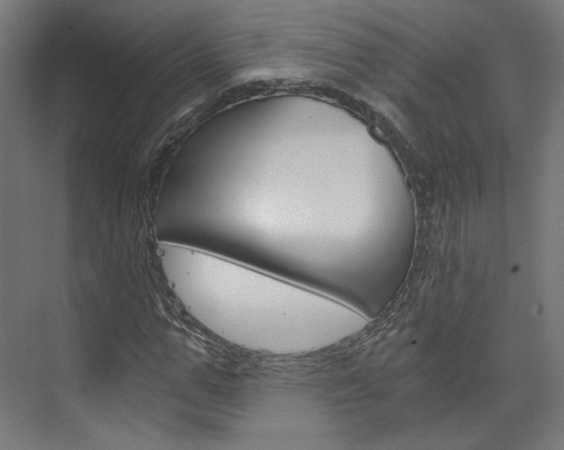 X0000074000967200608211103