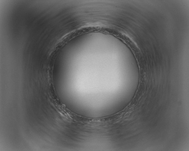 X0000074000968200608211103