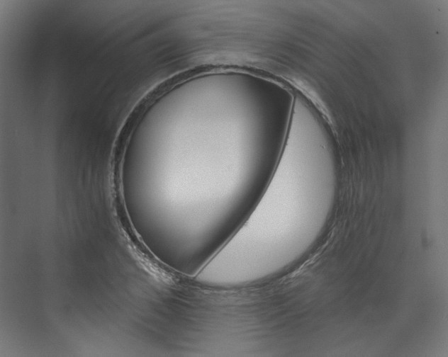 X0000074000976200608211103