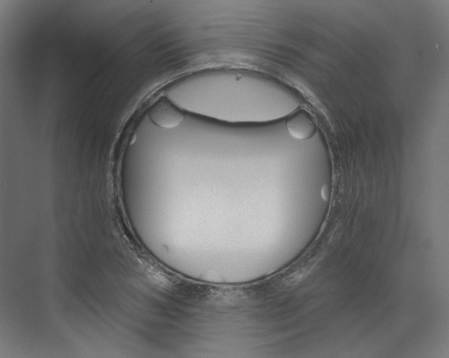 X0000074000978200608211103